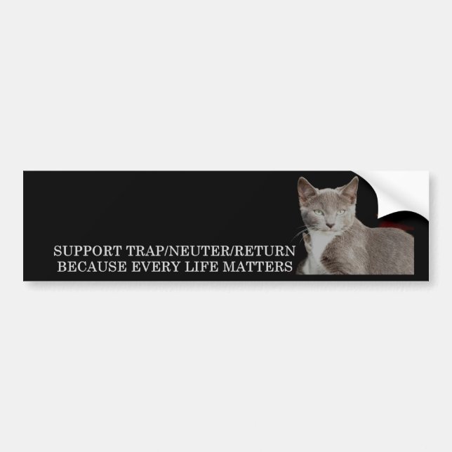 Support TNR Bumper Sticker (Front)