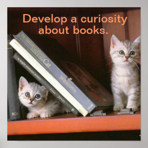 Supporting Literacy Poster