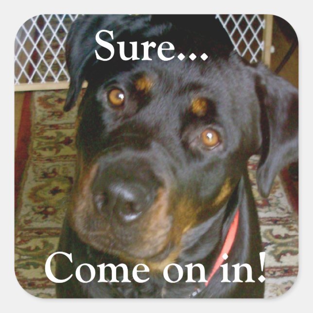 "Sure...Come on in" Sticker (rottweiler) (Front)