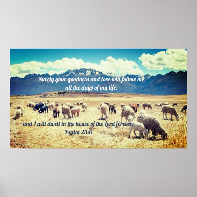 "Surely Goodness" Psalm 23:6 Biblical Prophetic Poster (Front)
