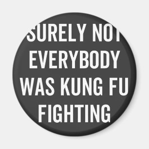Surely Not Everybody Was Kung Fu Fighting Magnet