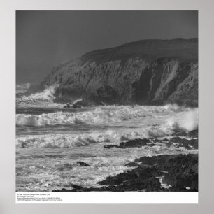 Surf and Rocks near Bodega Station, 1966 Poster