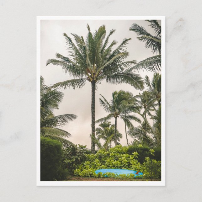 Surf Board Under a Palm Tree Hanalei Beach Kauai Postcard (Front)