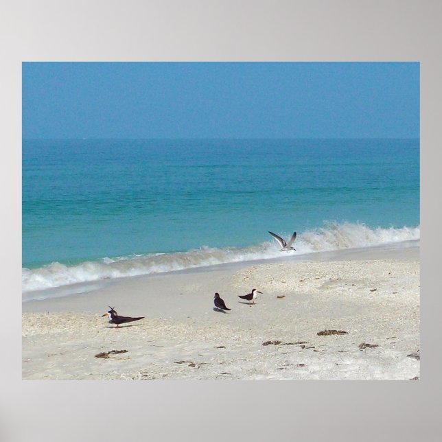 Surf Hunters Poster (Front)