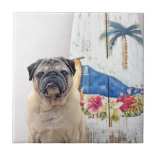Surf Pug Tile