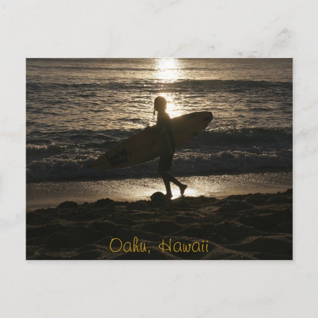 Surfer silhouette Postcard (Front)