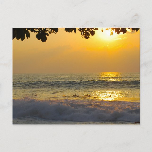 Surfers in Sunshine Reflections at Sunset Postcard (Front)