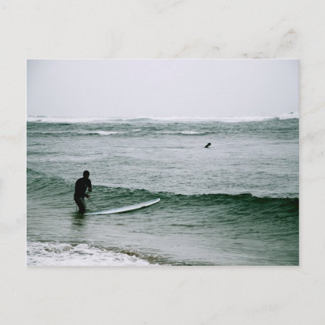 Surfers on the North Shore Postcard (Front)