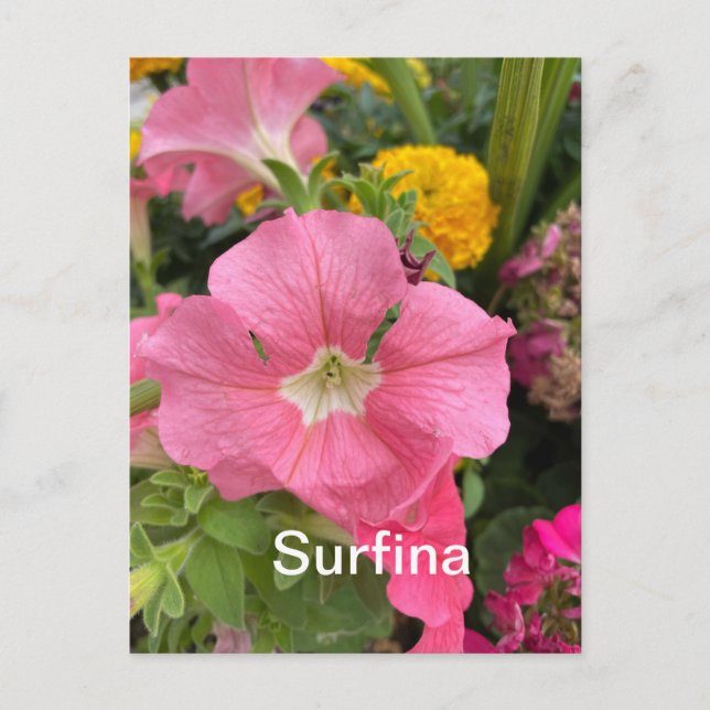 Surfina Postcard (Front)
