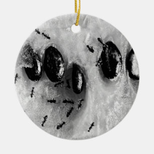 surfing ants ceramic tree decoration