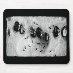 surfing ants mouse mat