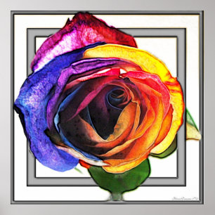 Surfing the Rainbow Rose Poster