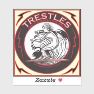 SURFING TRESTLES SAN ONOFRE BEACH CALIFORNIA