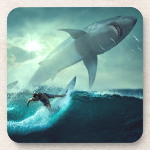 Surfing with Sharks Coaster