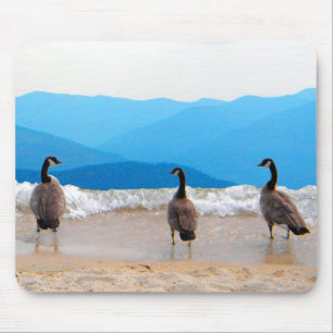 Surf's Up! - Geese Mouse Mat