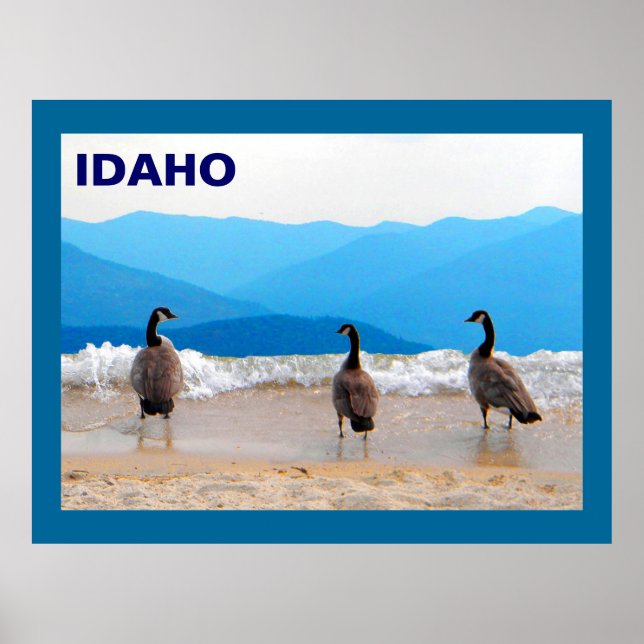 Surf's Up! - Geese Poster (Front)