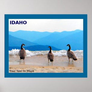 Surf's Up! - Geese Poster