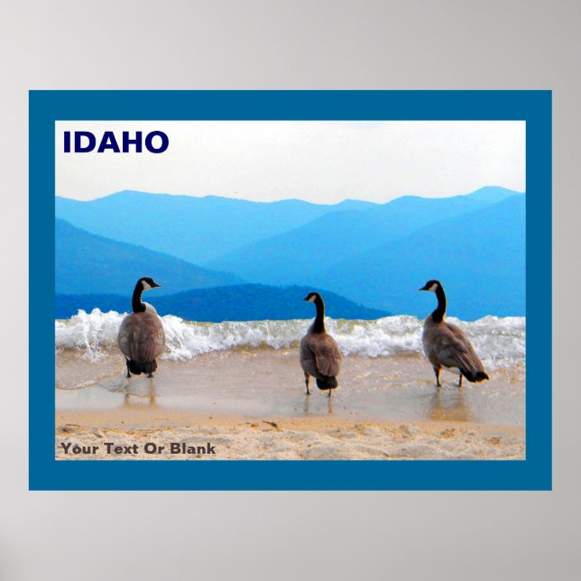 Surf's Up! - Geese Poster (Front)