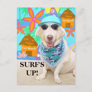 SURF'S UP! POSTCARD