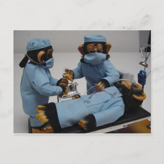 Surgeon Assistant Postcard