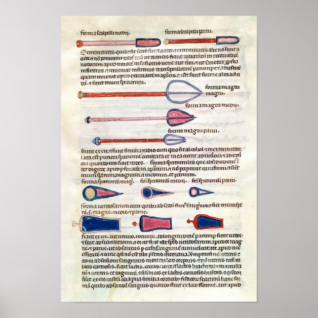 Surgical instruments from a treatise poster (Front)