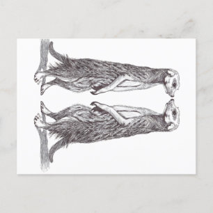 SURICATA LOVE. MEERKAT LOVE. HOLIDAY POSTCARD