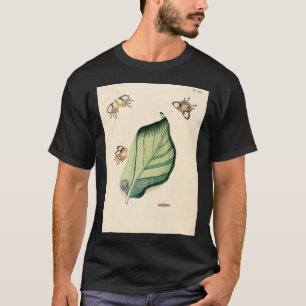 Surinaamsche Vlinders Naar Het Leven Geteekend Pap T-Shirt