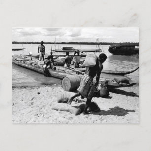 Suriname Beach  Postcard