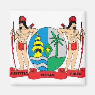 Suriname Coat of Arms detail Magnet