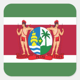 Surinamese Flag & Coat of Arms, Flag of Suriname Square Sticker