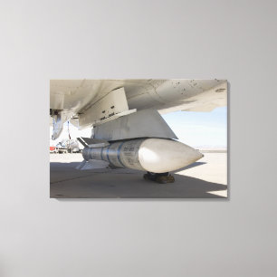 Surplus Navy Phoenix missiles Canvas Print