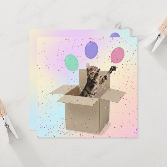 Surprise Birthday Party cat in box Card (Front/Back In Situ)