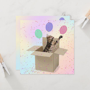 Surprise Birthday Party cat in box Card