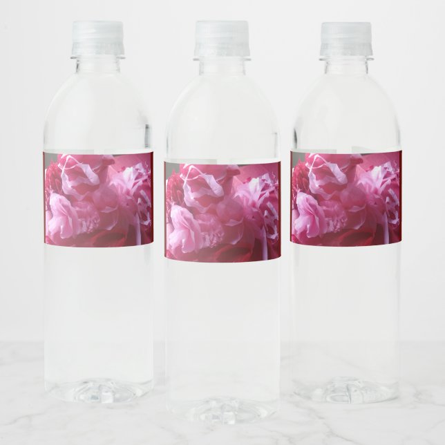 Surprise Birthday Water Bottle Label Set (Bottles)