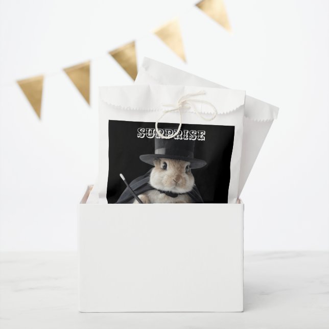 SURPRISE FAVOUR BAGS (Party)