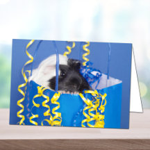 Surprise Guinea Pig Greeting Card