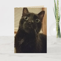 Surprised Black Cat Card