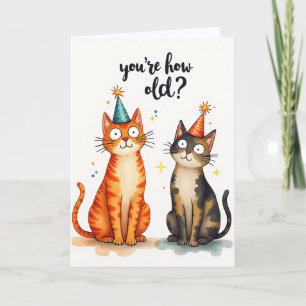 Surprised Cat Birthday Card