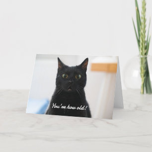 Surprised Cat Funny Birthday Holiday Card