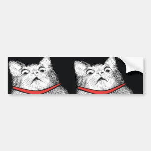 Surprised Cat Gasp Meme - Bumper Sticker