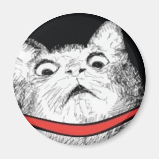Surprised Cat Gasp Meme - Magnet