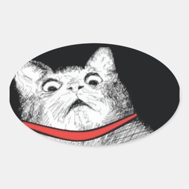 Surprised Cat Gasp Meme - Oval Stickers (Front)