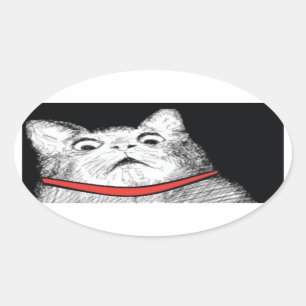 Surprised Cat Gasp Meme - Oval Stickers