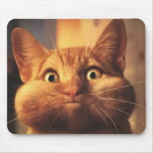 Surprised Cat Mousepad