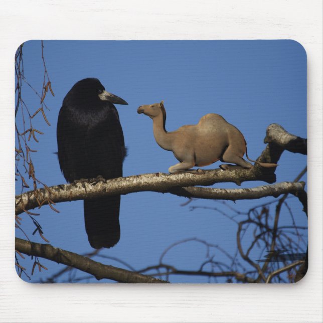 Surprised Crow Mouse Mat (Front)