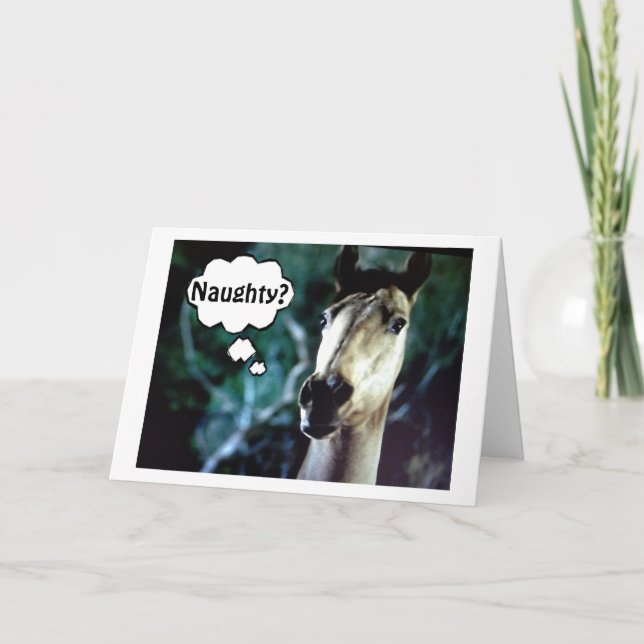 SURPRISED HORSE=YOU WERE NAUGHTY BEFORE CHRISTMAS HOLIDAY CARD (Front)