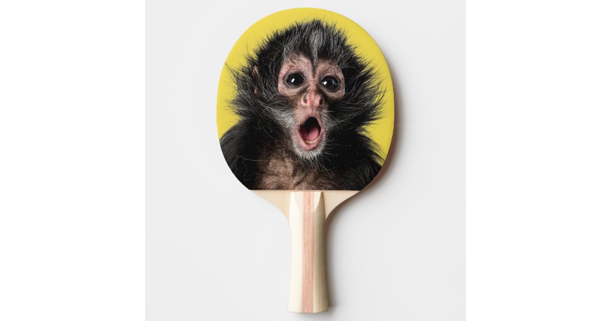 Surprised Monkey with Expressions Ping Pong Paddle Zazzle