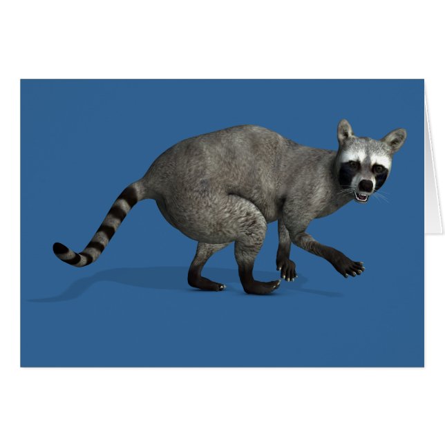 Surprised Racoon (Front Horizontal)