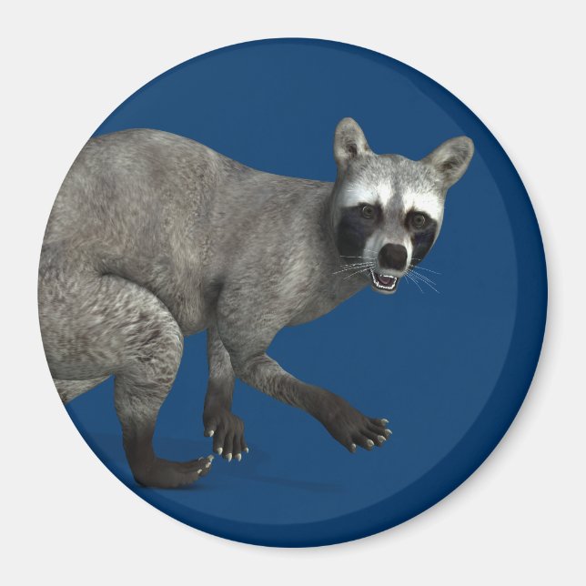 Surprised Racoon Magnet (Front)