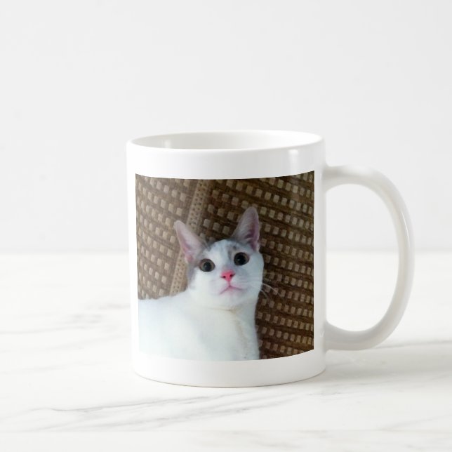 Surprised White Cat Coffee Mug (Right)